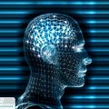 Researchers demonstrate how to decode humain brain. Interpreting fMRI to unfold human mind.