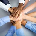 Teams of friends perform better than strangers in the working environment.