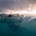 Researchers have developed the first smartphone underwater messaging app to facilitate subsurface communications