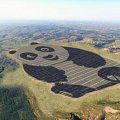 Giant Panda shaped power plant harvests energy in China.